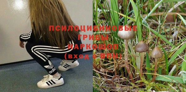 соль ск Аркадак