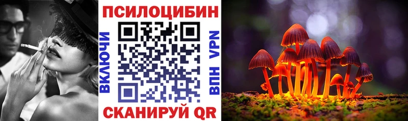 Псилоцибиновые грибы Psilocybine cubensis  Терек 