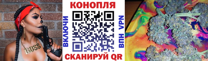 Каннабис план купить наркотик Терек